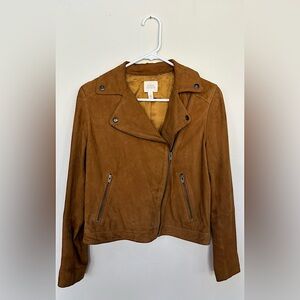 Sun & Shadow Suede Crop Moto Jacket